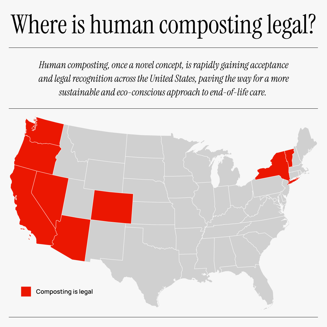 Hello, Mortal tweet media