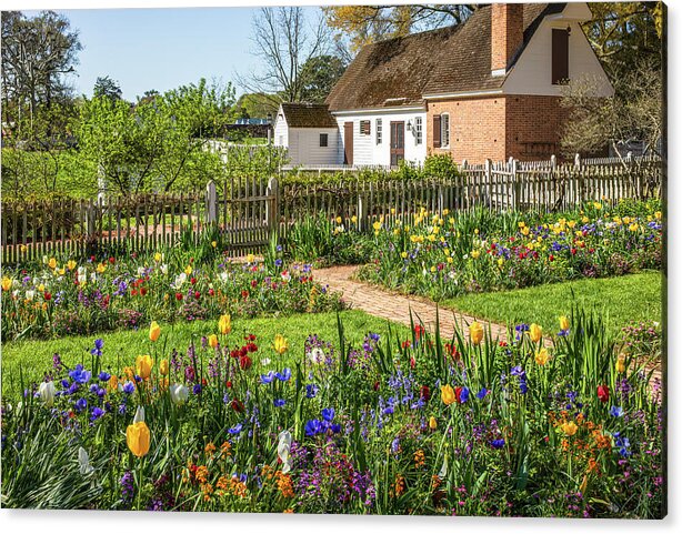 Beautiful Tulip Garden in Virginia rachelsfineartphotography.com/featured/beaut… #spring #ColonialWilliamsburg #wallart