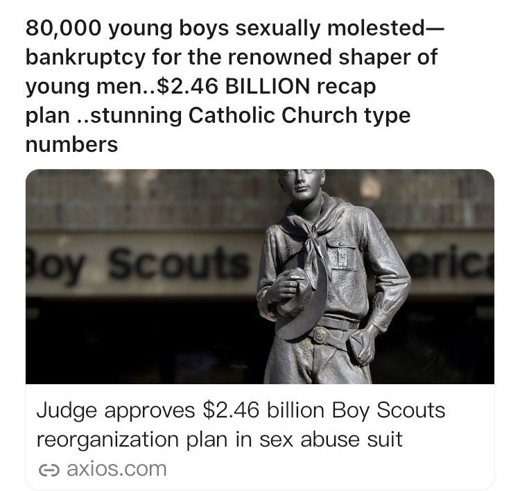 WHY DO YOU THINK THERES SO MUCH ABUSE IN BOY SCOUTS?