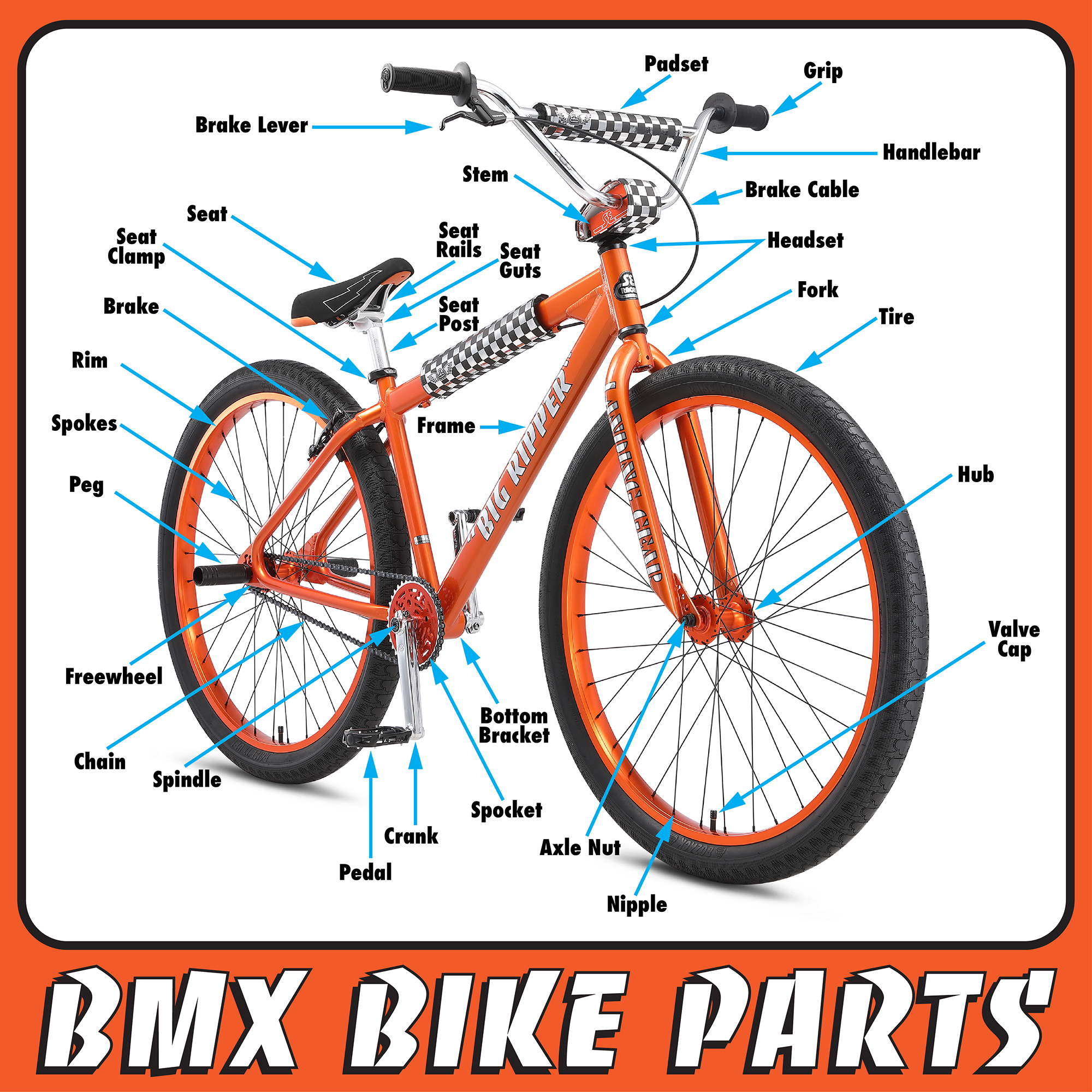 Bmx brand names hotsell
