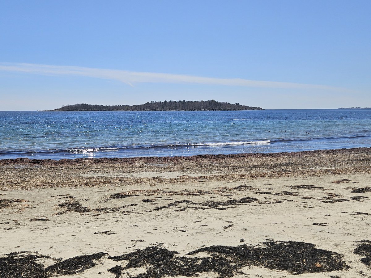 springtime is here #west #beach #newengland #northshore