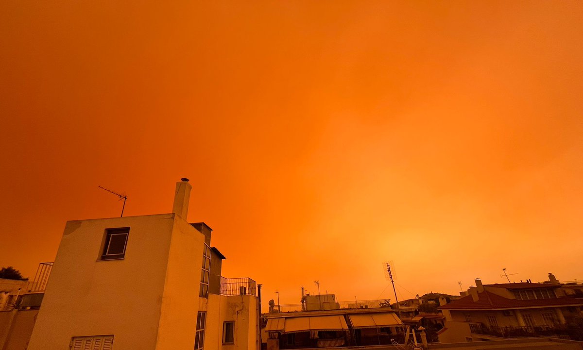 Seonaid Webb MBE tweet media