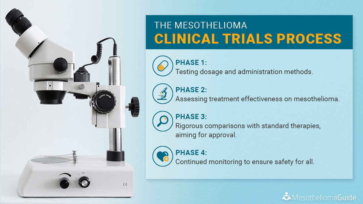 Discover the phases of #mesothelioma clinical trials:

1️⃣ Dosage & administration testing.
2️⃣ Assessing treatment effectiveness.
3️⃣ Comparing with standard therapies for #FDAapproval.
4️⃣ Ensuring long-term safety post-approval.

Read more: tinyurl.com/ynt35k8x
