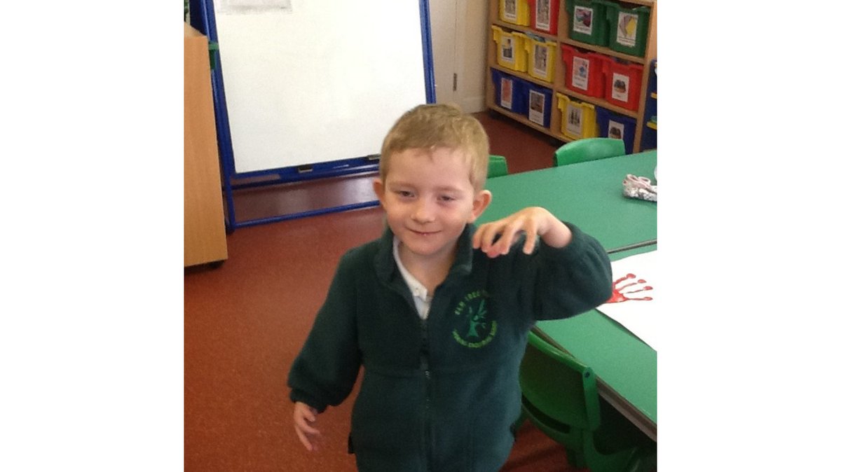 ElmTreePrimary tweet media
