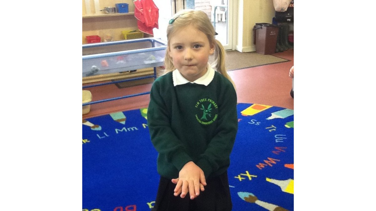 ElmTreePrimary tweet media