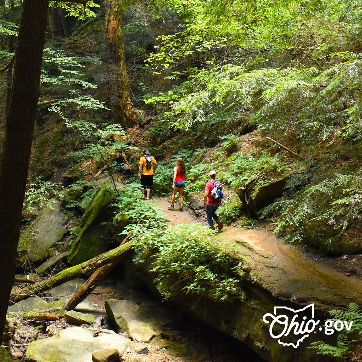 Today is Celebrate Trails Day and Ohio has some of the best. Find a great hiking trail near you with the DETOUR app from @ohiodnr. bit.ly/ohio-trails-app