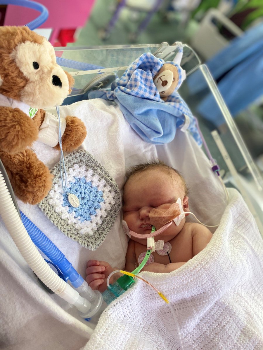 "We went from a normal family to full-time caregivers, nurses, and therapists"

The reality for our families at Zoe's Place, including Cillian's, as explained by Mum, Ciara.

Read Cillian's Story here 👉 rb.gy/3cd7je

Donate today 👉 rb.gy/zlbvv5