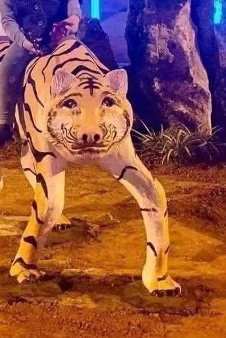 <a href="/sudtxmark/">q-bé</a> เสืออี้