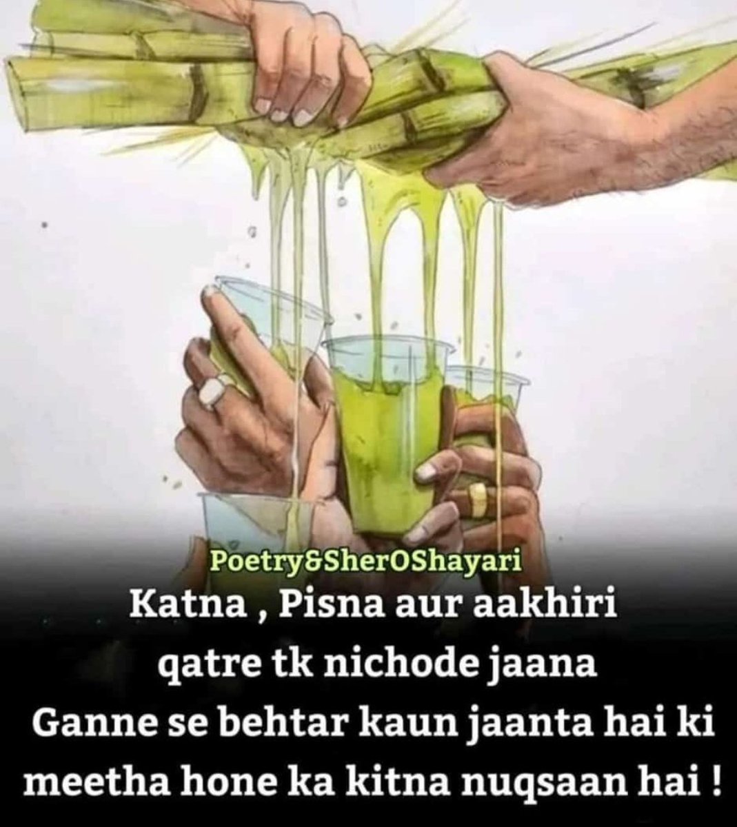 शुभ रात्रि 🤗🙏🏼🚩🇮🇳❣️💞