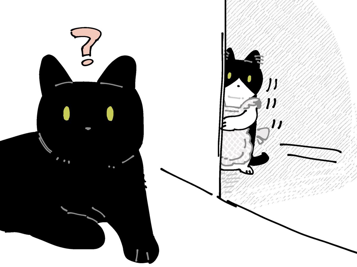 家政婦まめさん 