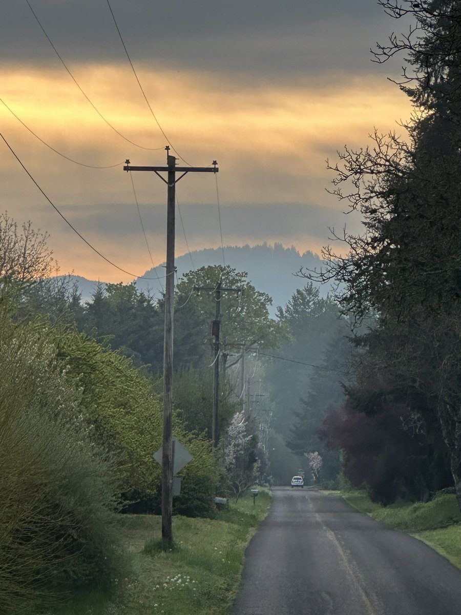 NeilPattonMusic's tweet photo. Another pic from my slo-mo photo dump from the past few weeks. 3/? From April 13.
#nature #naturewalk #iphonephotography #chasingbeauty https://t.co/G1DvPmlwc3