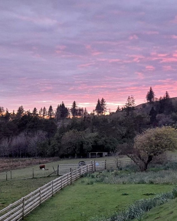 We know you can’t get enough of those magical Loch Melfort Hotel skies! Pinks and purples above Arduaine Garden (and if you look closely, a coo and a goat!) 🥰 📸by Terry Mcmorris #scotlandsunset #sunsetphotography