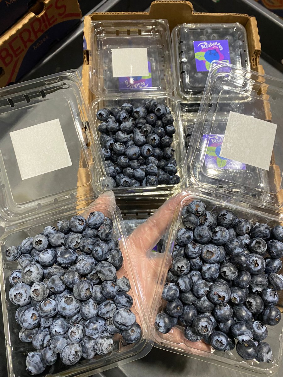 SmartCold_US's tweet photo. DID YOU KNOW: 
Handling of blueberries should be minimised to avoid damaging the bloom. Blueberries stored at temperatures of 4,5°C and above gradually develop an undesirable tough-textured skin. https://t.co/KfoDQ2cuus