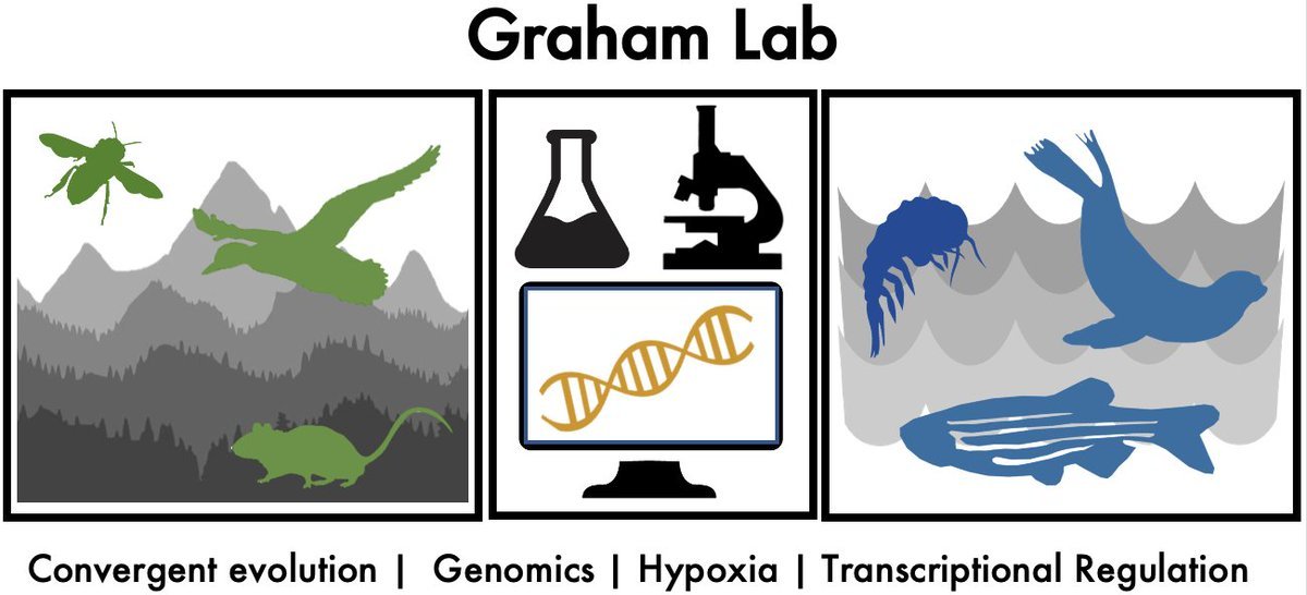 I'm glad to announce that I will be a postdoc no more!

Why, you ask? It's because I'll be starting my lab at the University of Kansas in the Molecular Biosciences Dept this Fall! <a href="/UnivOfKansas/">University of Kansas</a> #NIHfunded

Stay Tuned!