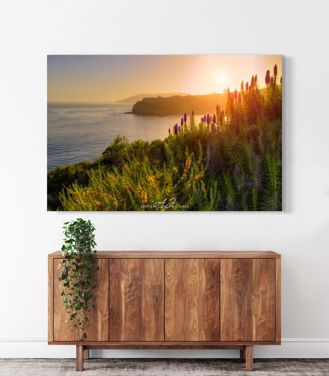 CentralCoastPictures tweet media