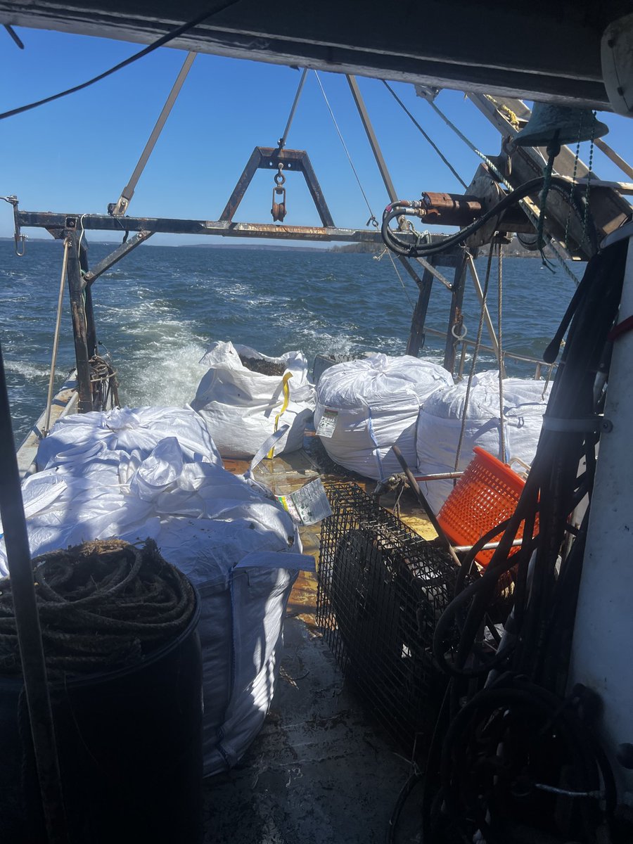 fvhattierose's tweet photo. Inbound with fresh Maine farm raised kelp for Atlantic Sea Farms during #seaweedweek 
#Eatmorekelp ⁦@hattietrain⁩ https://t.co/bINidMJW6e