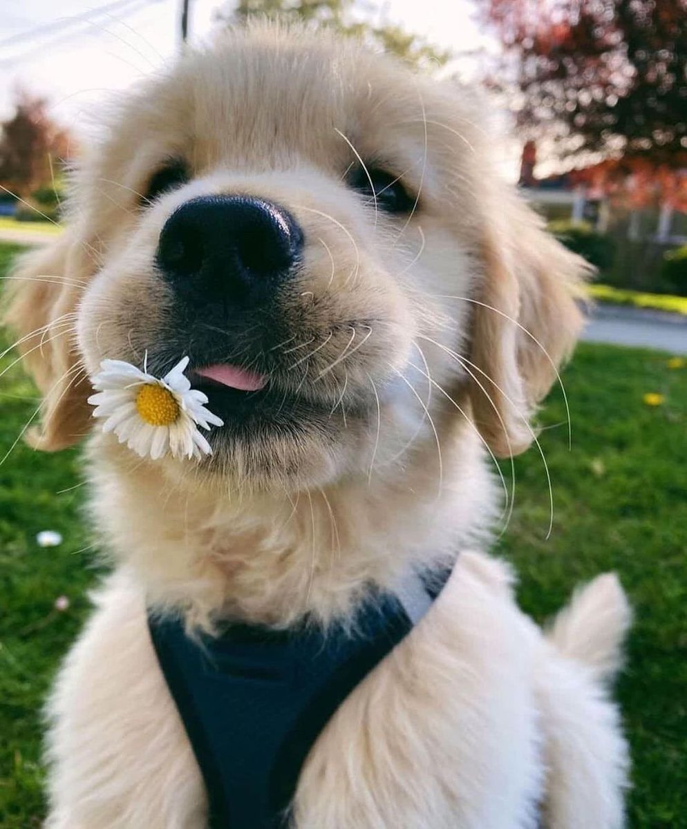 ✦˚bbebluu◡̈ ✦ tweet media