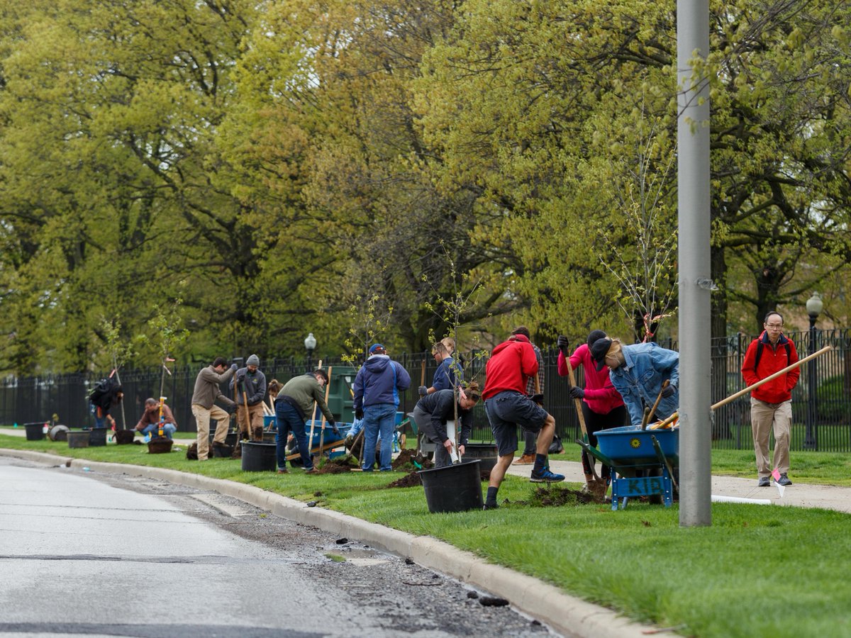 What's the best way to celebrate Arbor Day? 🎉 By adding to the urban canopy! 🌳 Meet us in the Windsor Park neighborhood and help us plant 145 native trees on Saturday, April 27. Space is limited! Save your spot today ➡️ bit.ly/3U503Md Powered by @citizensenergy