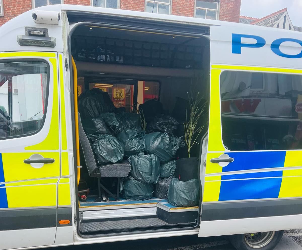 VIDEO: Sussex Police Act on Cannabis Tip-Off in Portslade Read More on Sussex.News ➡️ bit.ly/4aMExme