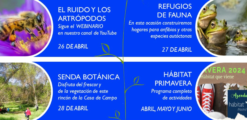 📢Descubre las actividades que puedes realizar esta semana en el Centro de Educación Ambiental de Casa de Campo 🌳🐸🦋 👉 informate.madrid.es/abcca8