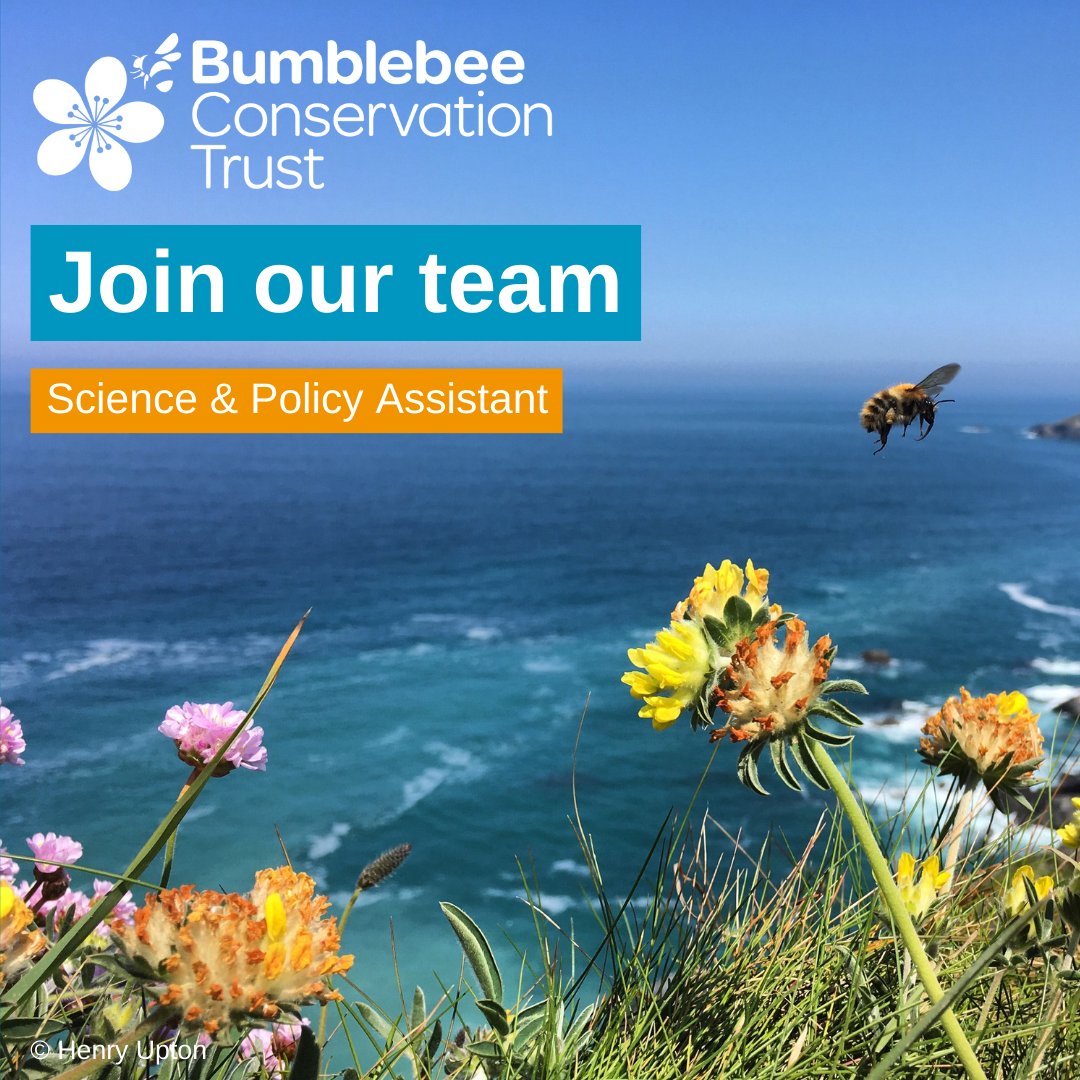 New vacancy 🐝 We are looking for a Science & Policy Assistant to assist with the development and delivery of our science and policy work. 🕒 Part-time, permanent 📍 Within travelling distance of the Trust’s Stirling office 📅 12 May Full details 👉🏿 ow.ly/TbVZ50RlUZX