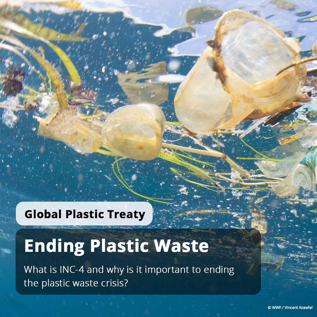 We need swift and meaningful action to curb the plastic crisis. International leaders are meeting this week to continue developing a new set of global agreements that define tangible steps and a timeline to change how we produce and consume high-risk plastic.