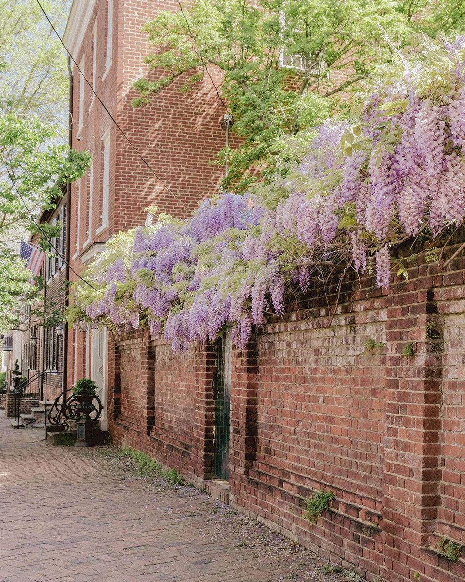 Dreamy, enchanting, bewitching...just a few of the ways we'd describe this view! 📸: Instagram user canniecaptures