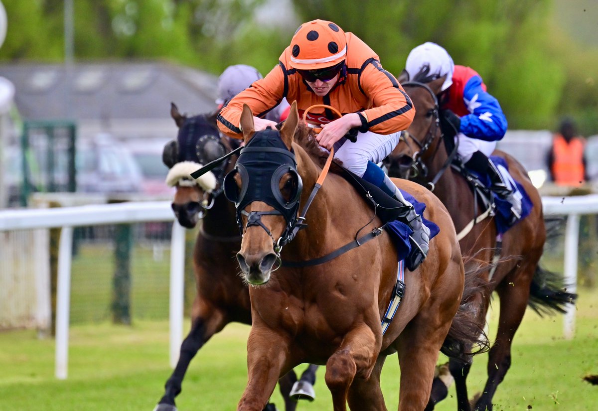 Race 7 Result - @quinnbet Daily Free Bet Handicap 🏆 Batchelor Boy Jockey: @DarraghKeenan7 Trainer: John Gallagher Owner: C R Marks