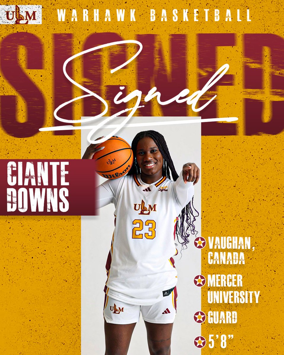 Coinfox📈 tweet media