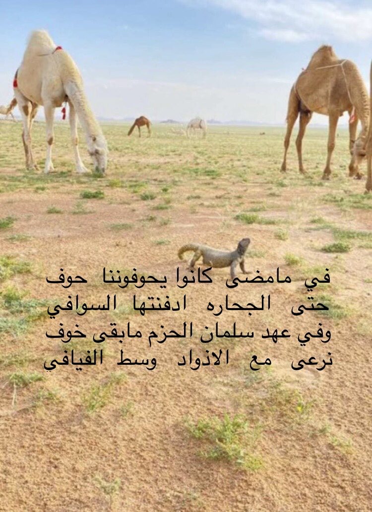 عقاب الظويفري (@aaagggbbb305) on Twitter photo 
