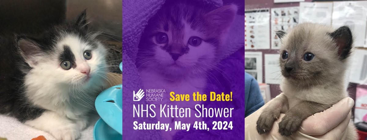 NHSCats's tweet photo. It's almost time for the #KittenShower on May 4th! We have a lot planned this year, and we can't wait to see you there! Help us out by checking out our wishlists and stocking our kitten nursery before the event!
Amazon: https://t.co/B93wvALvwO
Chewy: https://t.co/ez8U9iKml5 https://t.co/DpYonBFxiX