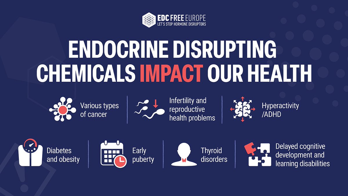 📢Today is #EuropeanHormoneDay!

We're daily exposed to harmful #EndocrineDisruptors, synthetic chemicals that interfere with our natural hormone system.

Join <a href="/ESEndocrinology/">European Society of Endocrinology (ESE)</a> in raising awareness about the importance of good hormone health.

👉europeanhormoneday.org

#EDCFree