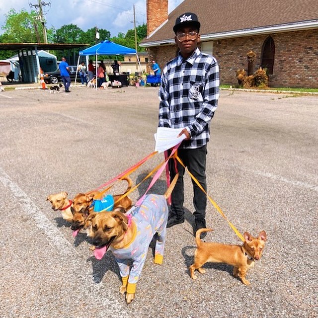 Our mobile community outreach vehicle and team offered a free vaccine clinic for the Greater Baton Rouge community. Veterinarians and technicians from both CAA and LSU came together for this event that greatly serves our community. lsu.edu/vetmed/outreac…. #petcolove