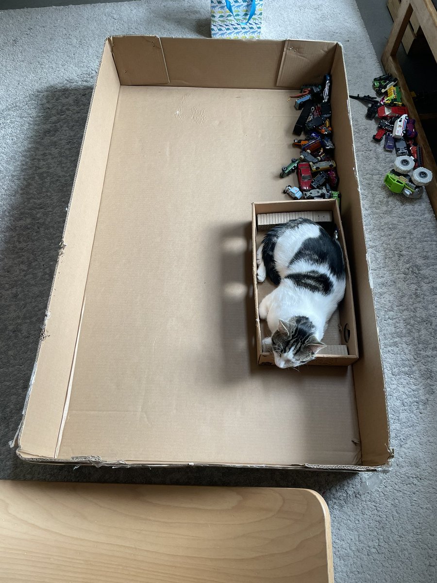 A cat in a box, in a box.