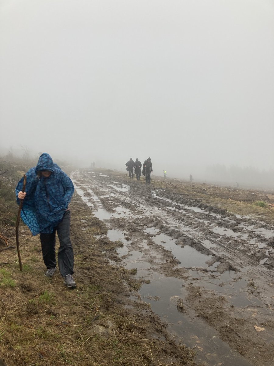 It’s #CaminoTuesday and this week’s theme is MISTYS on the #CaminoDeSantiago 

What? It’s not MISTYS? Oh, got ya, it’s MYSTERIES. 

Easy mistake to make.

Okay. Mystery. What IS Mrs C doing in misty picture no.1?

A zoom in to her face gives the clue. 

elrealthing.com