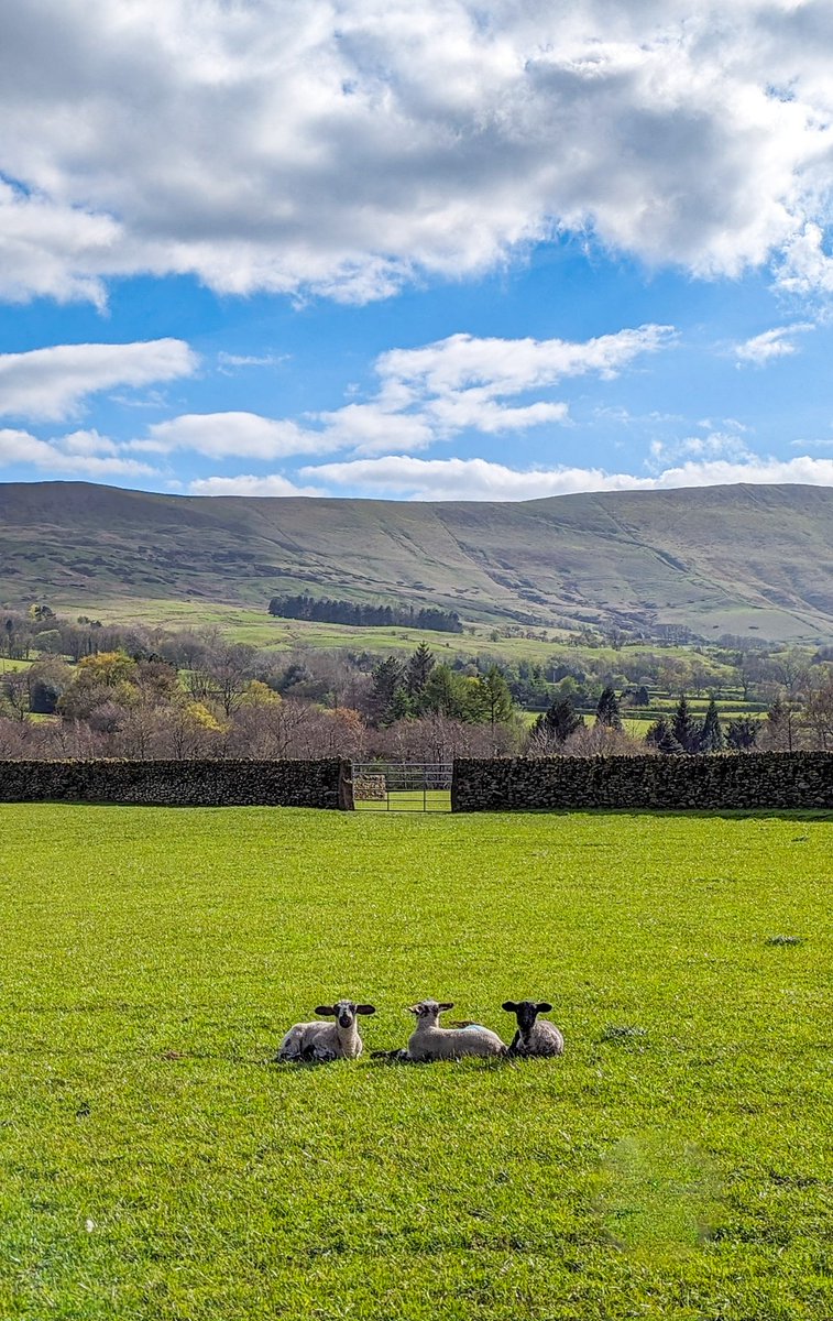 This is your reminder to chill in the sunshine with your best mates 😎 #peakdistrict