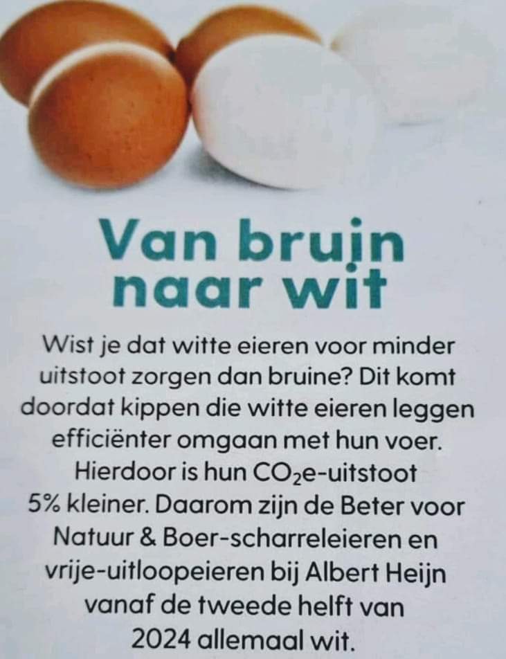 BertvanVondel's tweet image. Hahahaha @albertheijn is knettergek geworden. #witte #bruine #eieren #CO2