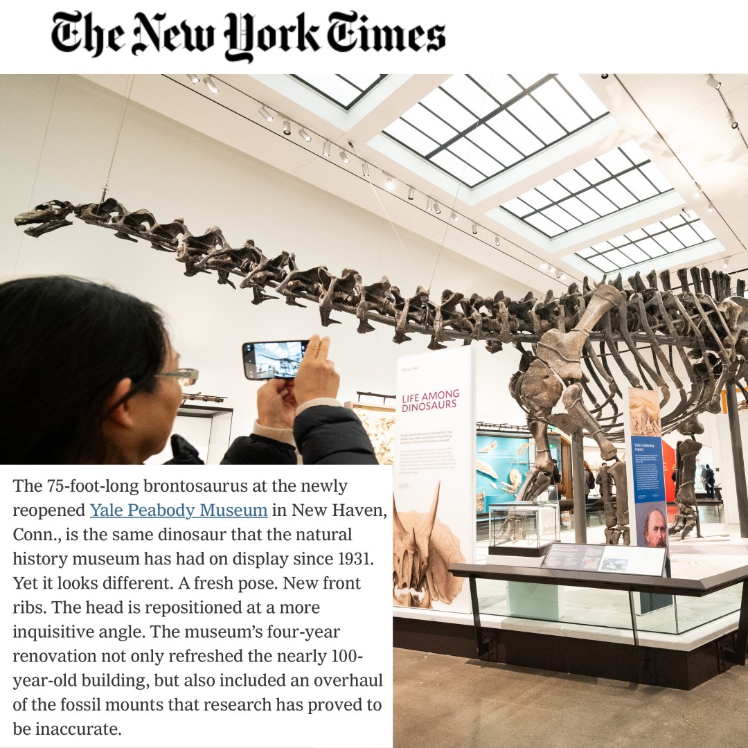 InfoNewHaven's tweet image. Beyond pizza and Yale, New Haven is bursting with culture waiting to be discovered! Dive into creativity, innovation, and community spirit with the @nytimes guide to exploring New Haven's hidden treasures here: nyti.ms/4aFOmT6 #NHV #CultureCapital #ExploreCT