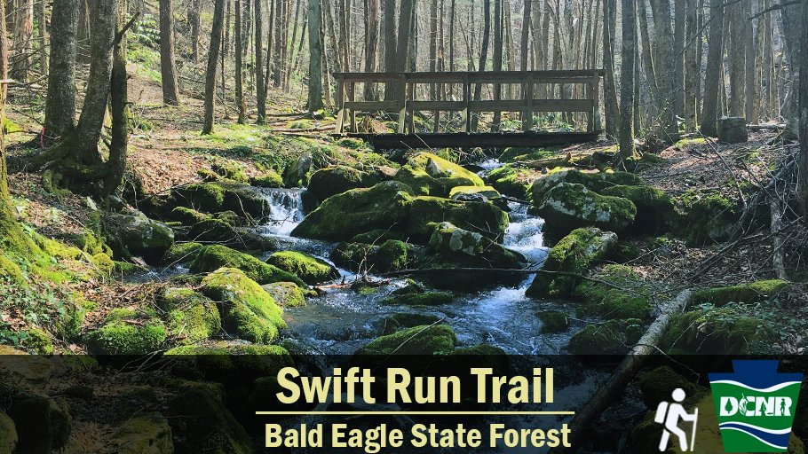 Look for wildflowers and budding trees while hiking the Swift Run Trail in #BaldEagleStateForest, exploring a rugged valley which contains old growth white pine, hemlock, and pitch pine. Learn more ➡️ bit.ly/2Fqt0jb. #PaStateForests #TrailTuesday