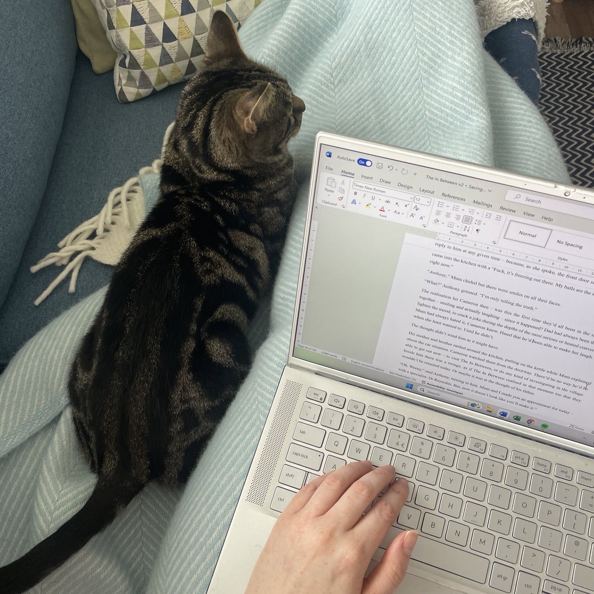 Bethany Wren tweet media