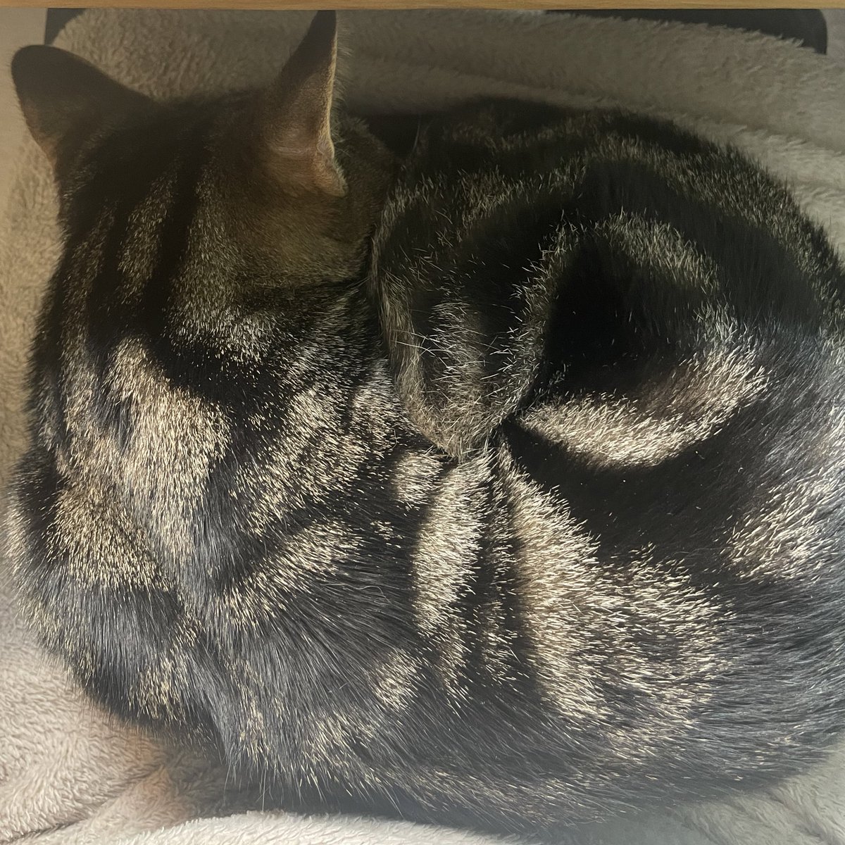 Bethany Wren tweet media