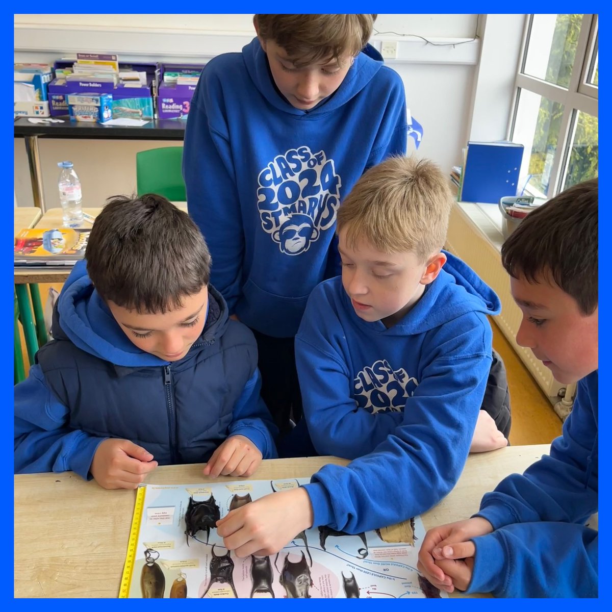 Super day with St Mary’s Boys NS learning all about Ireland’s sharks, skates and rays for #EarthDay2024 yesterday. 🌎 @MarineInst @explorersedu #keepexploring