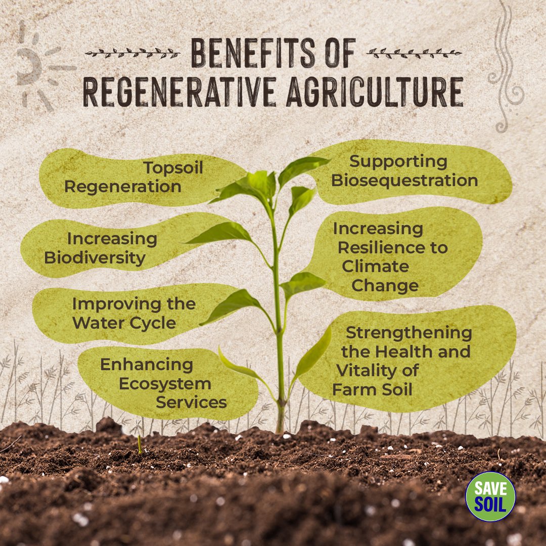 Let's give back to the earth what it offers us!
#SaveSoilForClimateAction 
#SaveSoilFixClimateChange 
#ConsciousPlanet