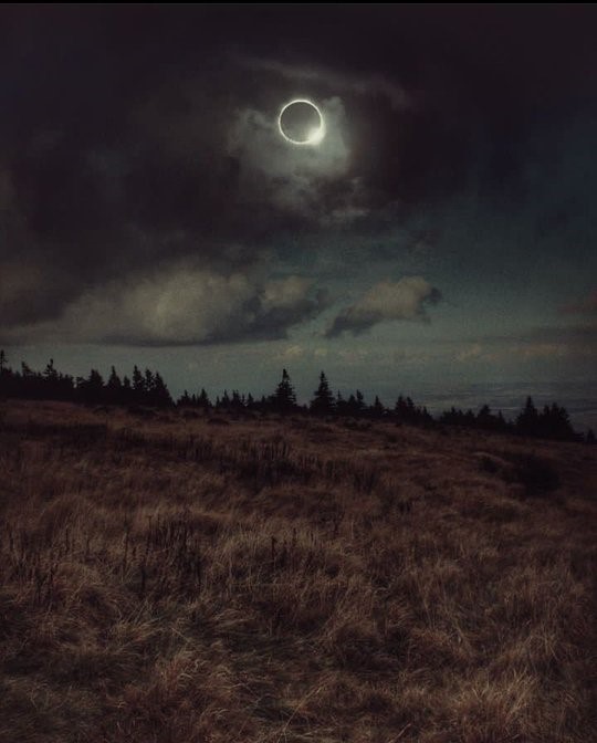 "Kalbinle konuştuğun vakit
söze ihtiyaç yoktur...."