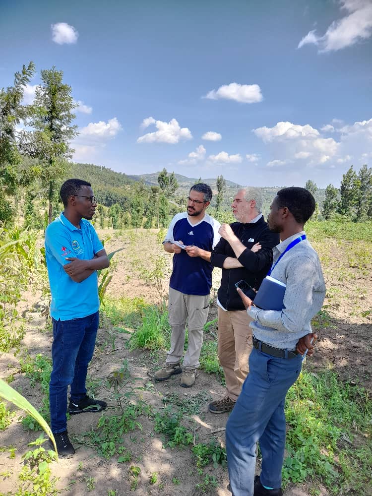 suvi_ur's tweet photo. Under the CDI-DeSIRA project funded by the European Union Rwanda, and implemented by @FAORwanda, @Uni_Rwanda, @RwandaAgriBoard, and #ISTOM team and SUVI champions visited farmers to assess the current status of agroforestry in @RuhangoDistrict .
1/2 https://t.co/6Qq2b5WBt9