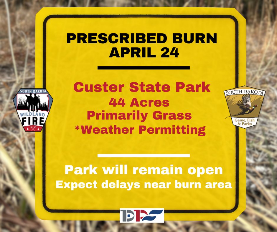 SD Wildland Fire is planning a 44-acre prescribed burn in coordination with Custer State Park on Wednesday 4.24.24. If weather is not favorable it will be rescheduled. The park will remain open but expect delays near the burn area. #keepSDsafe