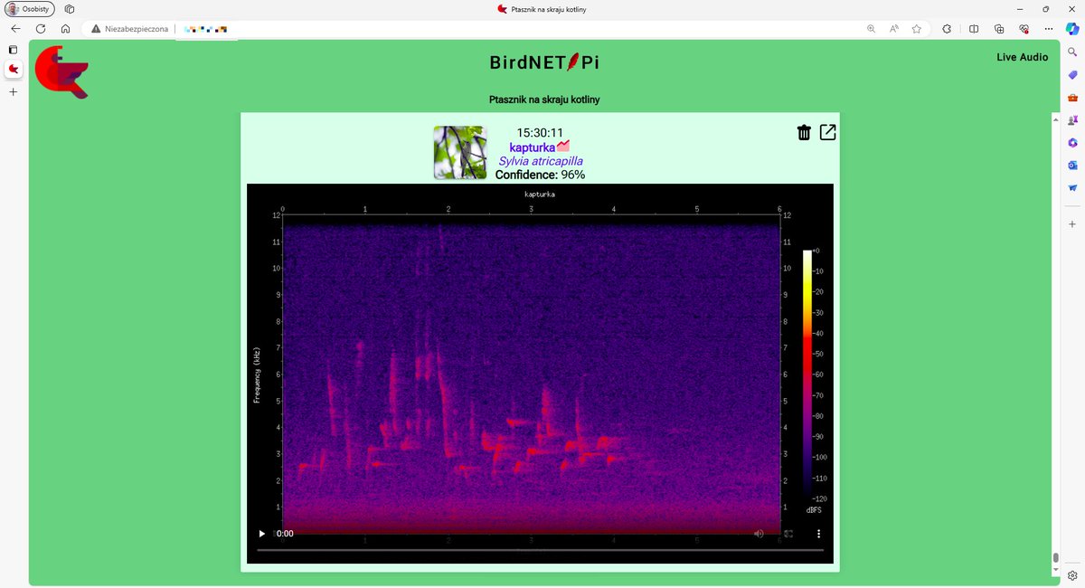 Kytutr's tweet image. And now something for completely different. To get my peace after NAFO duties I just listen to birds' songs. 
And it's not a coincidence, that all of them sing sweet 
lullaby "eat shit russia" 😌

#birdnet #birds #birdsongs