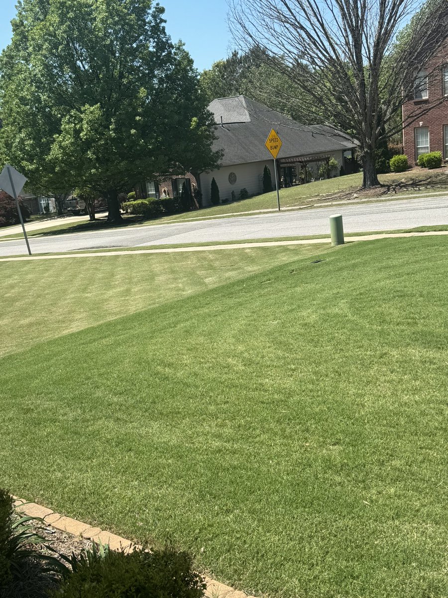 Ladies and gentlemen, this is what suburban domination looks like. #lawn #lawncare #yard