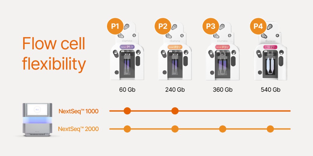 Empower your lab with ultimate flexibility now possible through 14 kit configurations across 4 flow cells. Learn how NextSeq 2000 supports virtually any sequencing application: ilmn.ly/3JlcuOZ