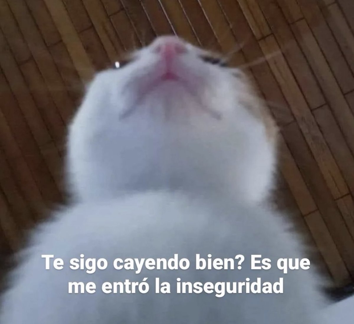 skereunpesado's tweet photo. https://t.co/1NnCWf1qIS